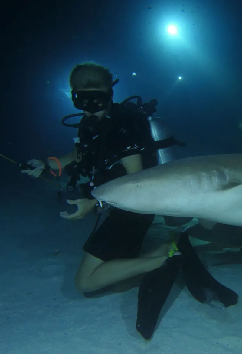 buceando-en-maldivas