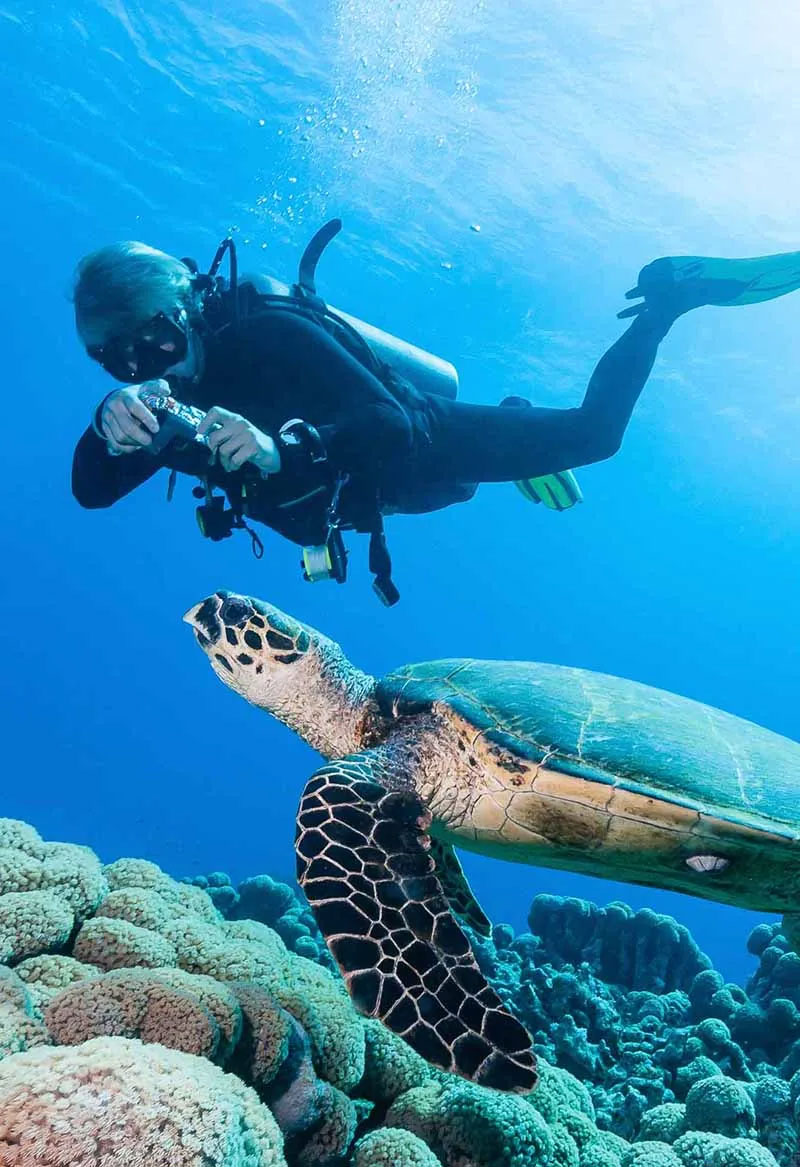 buceando-en-maldivas